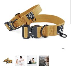Heavy Duty Dog Collar 