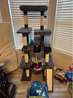 Cat tower and accessories