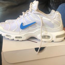 Nike Air Max Plus With Removable Swooshes Info
