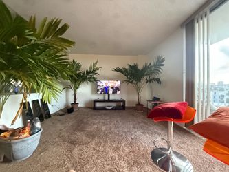 4 Beautiful Palm Trees ( About 6’ tall)