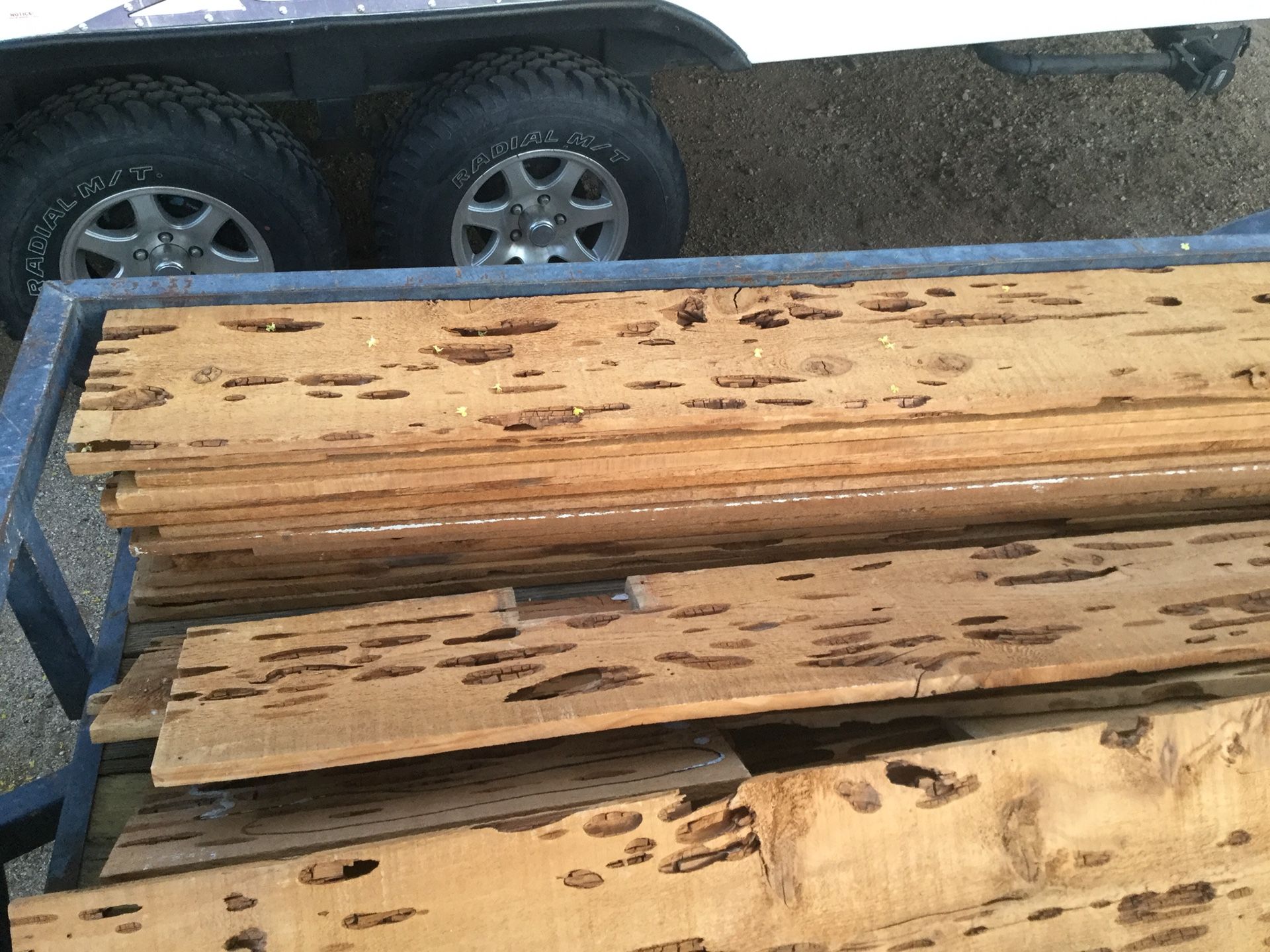 Reclaimed wood (pecky cedar)