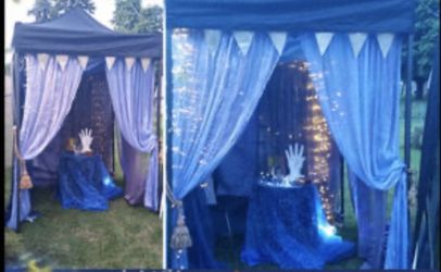 Psychic available for private party’s