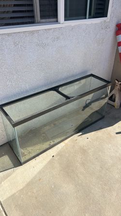 Tank