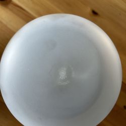 Pool Light Bulbs (2)