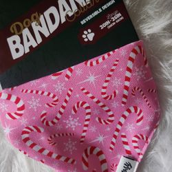 Whimsy Dog Bandana Collar Large Size