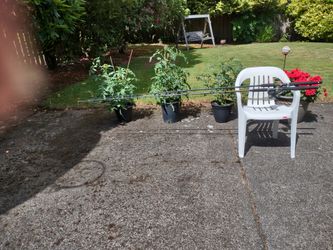 Fishing poles