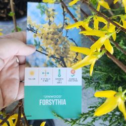 Huge Outdoor Sale Sunday