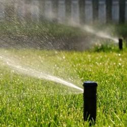 Sprinklers ....rotor & Pop Ups Available 