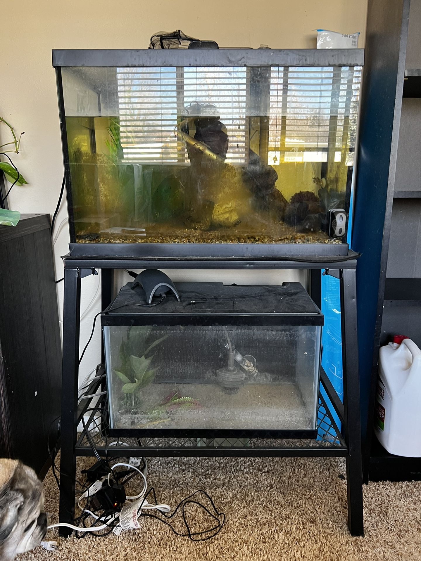 Fish Tanks With Stand & Decor