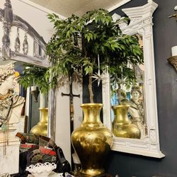 Potted Plant 55”
