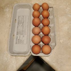 Farm Fresh Eggs Per Dozen