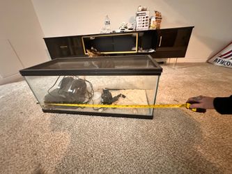 Fish tank