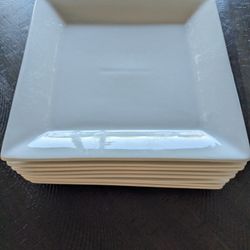 Crate & Barrel Porcelain Dinner Plates