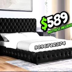 King Black Euro Platform Bed With Ortho Mattress Included 