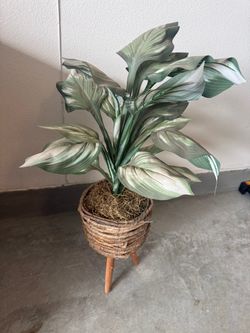 Faux Tropical Plant in Wicker Basket Stand