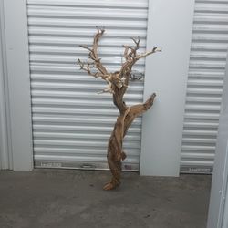 Home Decor Driftwood Or Aquarium Tank 