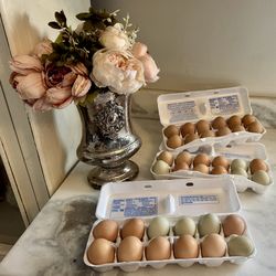 Fresh Eggs Back in Stock Porch Pickup Near Racetrack Easley $4 Per Dozen Have lots more than pictured