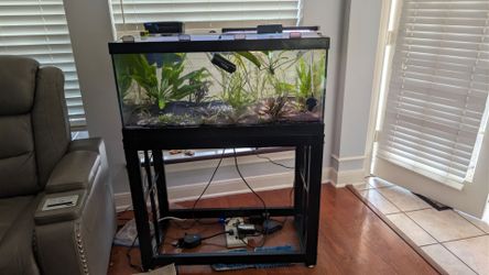 Aquarium 40 gallon breeder full planted tank setup - $275 (Houston)