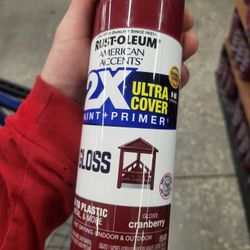 Spray Paint Rims Hoods Bumpers 