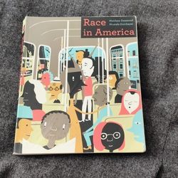 Race In America By Matthew Desmond And Mustafa Emirbayer 
