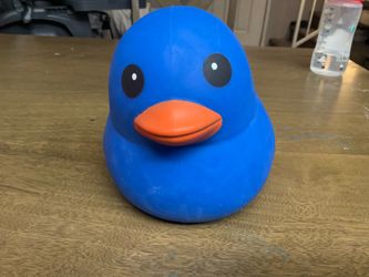 Duck. Squishy.