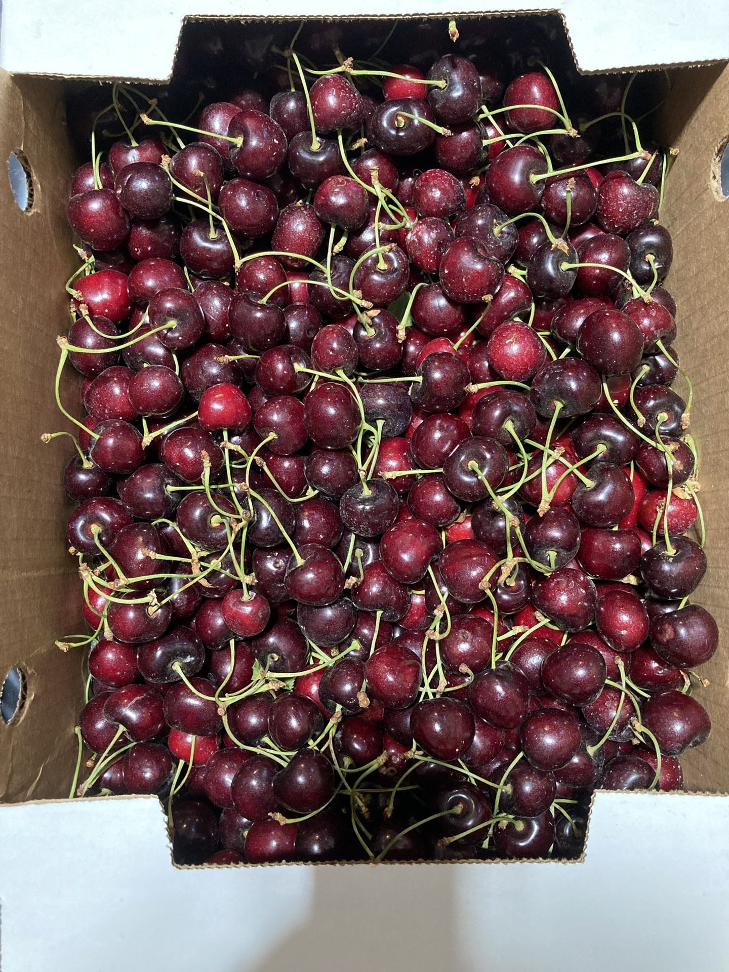 Cherries