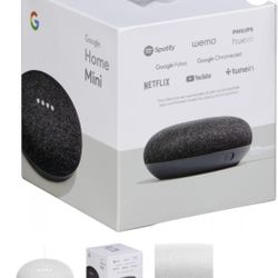 Google Mini Nest