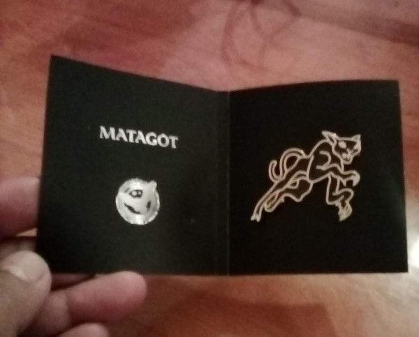 Harry Potter PIN , Collectible Pin