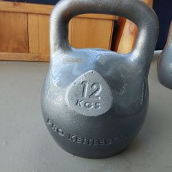 Pro Kettllebell 26lbs 