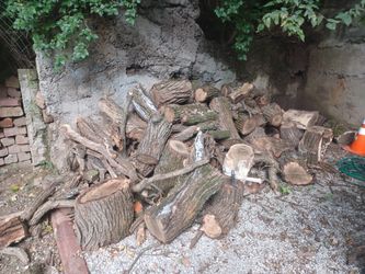 Fire Wood 