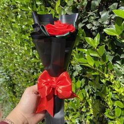 Eternal Roses/ Rosas Eternas