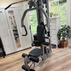 Body Craft Pro Home Gym. 