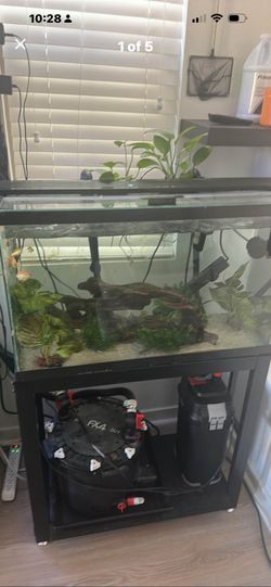 30 Gallon Fish Tank Complete With Fluval 407 $150 firm