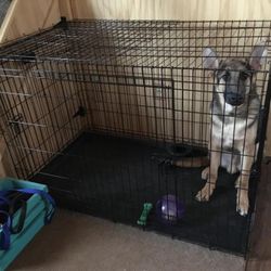 Large Dog Crate