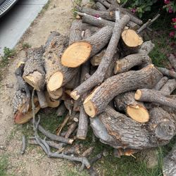 Firewood