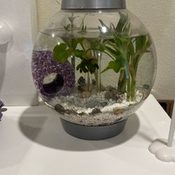 biOrb Classic 15 Acrylic 4-Gallon Aquarium with White LED Lights Modern Compact Tank for Tabletop or Desktop Display, Silver-Trimmed Tank