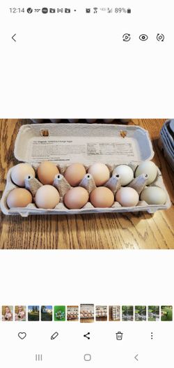 Farm Fresh Chicken And Duck Eggs