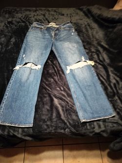 Abercrombie & Fitch (The '90s Baggy Low Rise )
