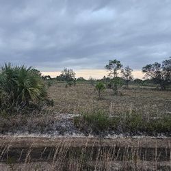 1.25 Acre Lot 