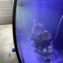 30 Gal. aquarium Woth Fi As n
