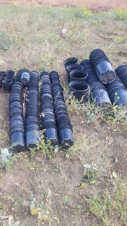 Pots for plants need gone