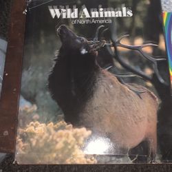 Wild Animals Of North America 