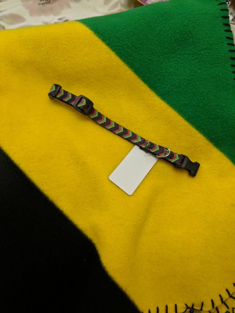 Jamaican Dog/Cat collar