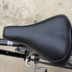 Skiing bike