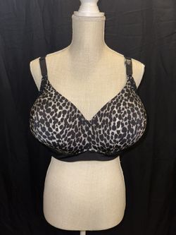 NWT Torrid Dream Wire-free Bra