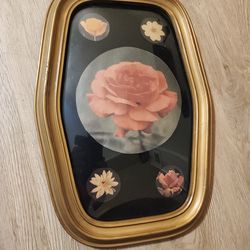 OLD DOME(bubble) GLASS FRAMES