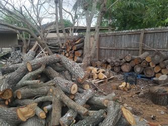 Mesquite,Oak and Pecan