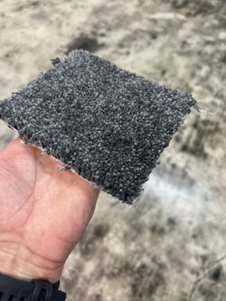 Free Carpet