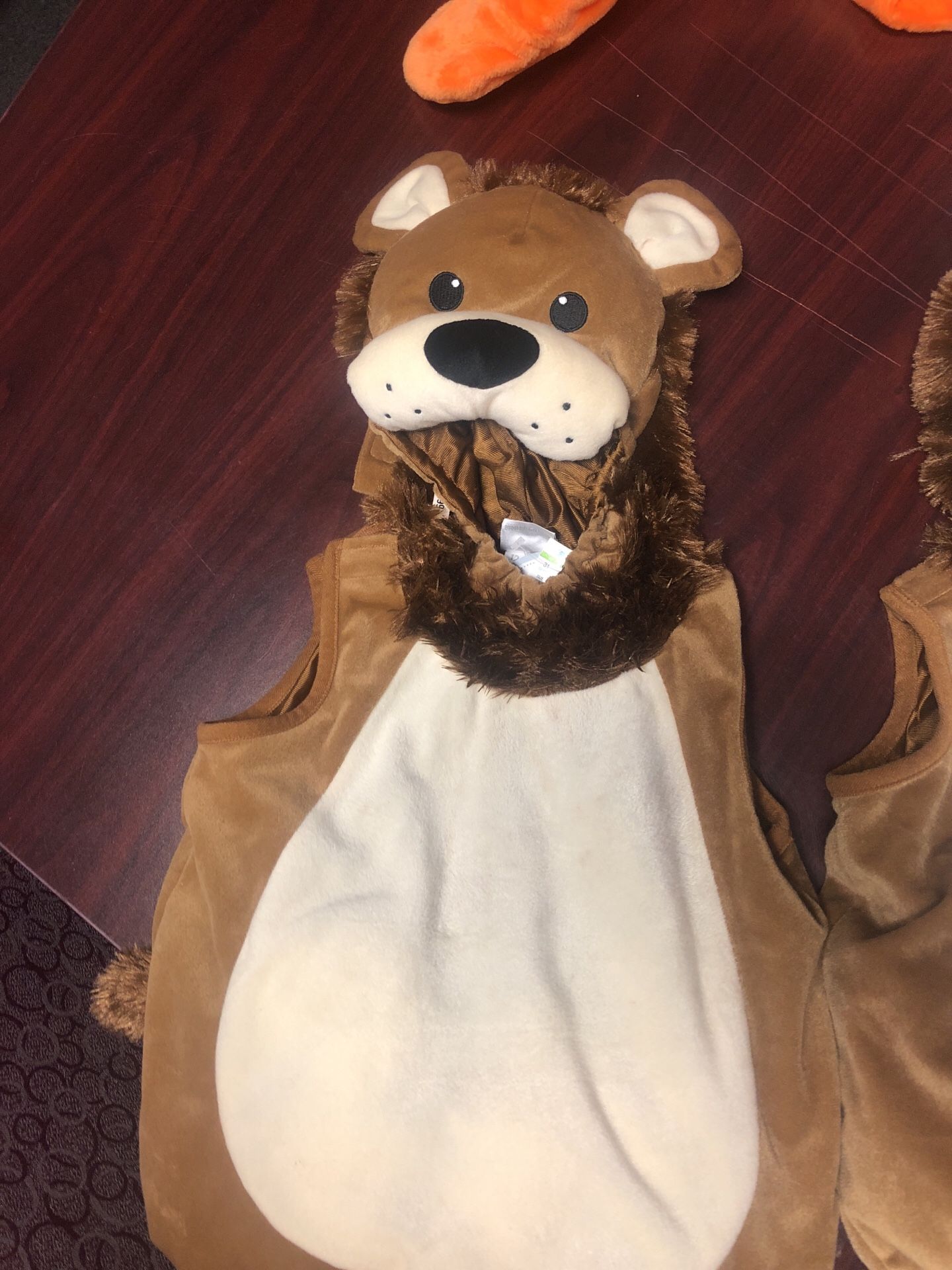 Lion costume