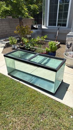 Fish tank